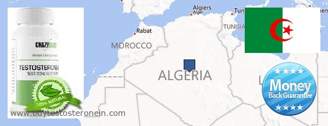 Gdzie kupić Testosterone w Internecie Algeria